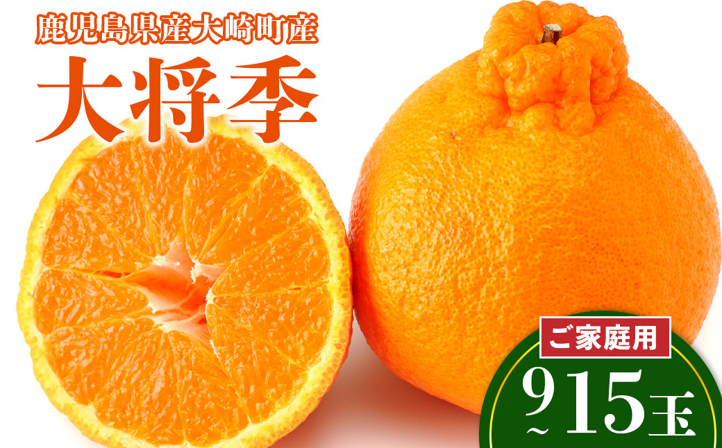 先行受付&nbsp;老舗青果店のご家庭用　大将季　9玉～15玉