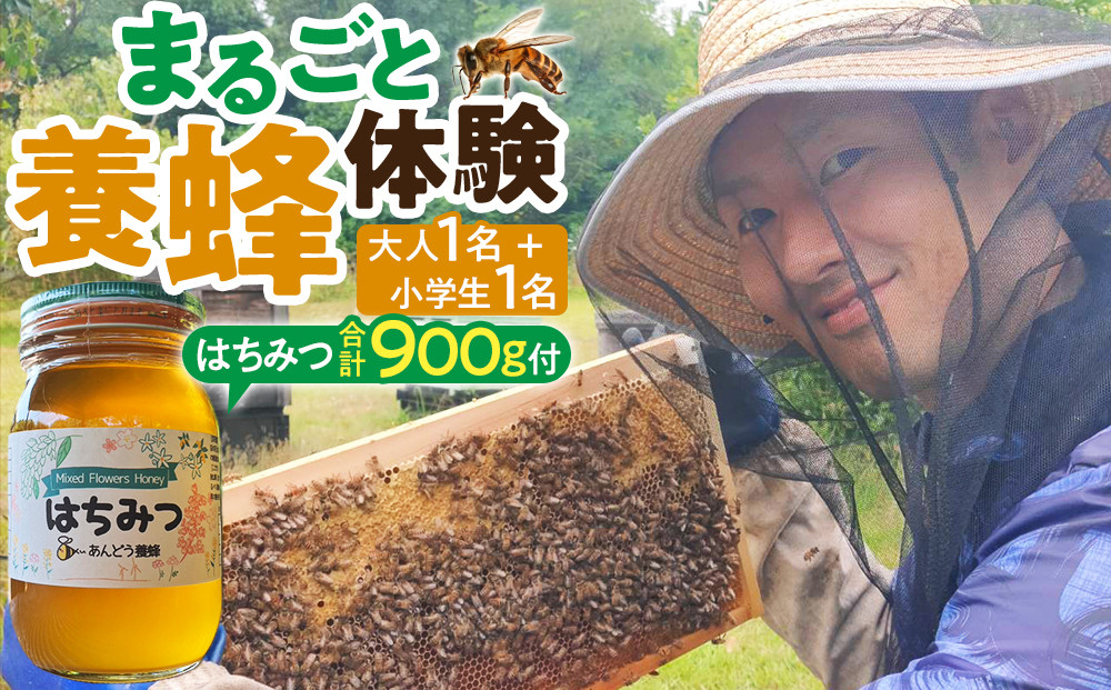 1283.【要予約&nbsp;親子用（大人1名様+小学生1名様）】あんどう養蜂&nbsp;まるごと養蜂体験（約3時間）はちみつ大人：600g、小学生：300g付き