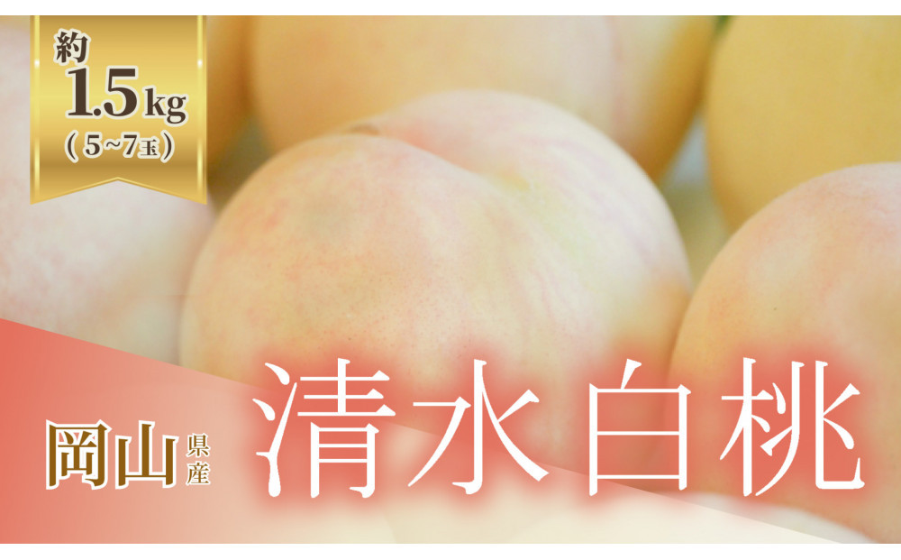 《2026年発送》岡山県産&nbsp;清水白桃&nbsp;1.5kg&nbsp;5～7玉