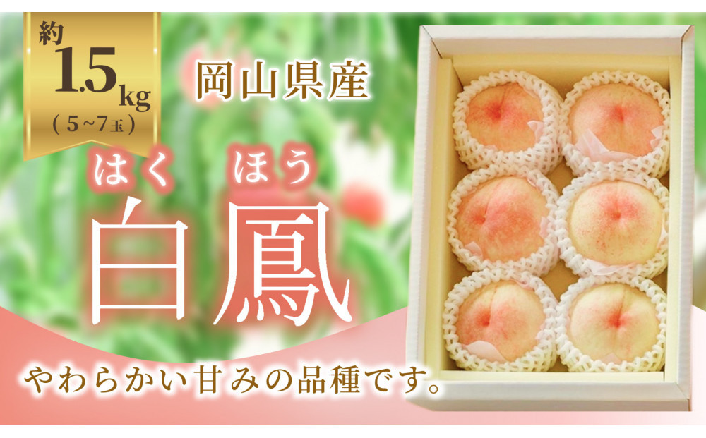 《2026年発送》岡山県産&nbsp;桃&nbsp;白鳳&nbsp;1.5kg&nbsp;5～7玉