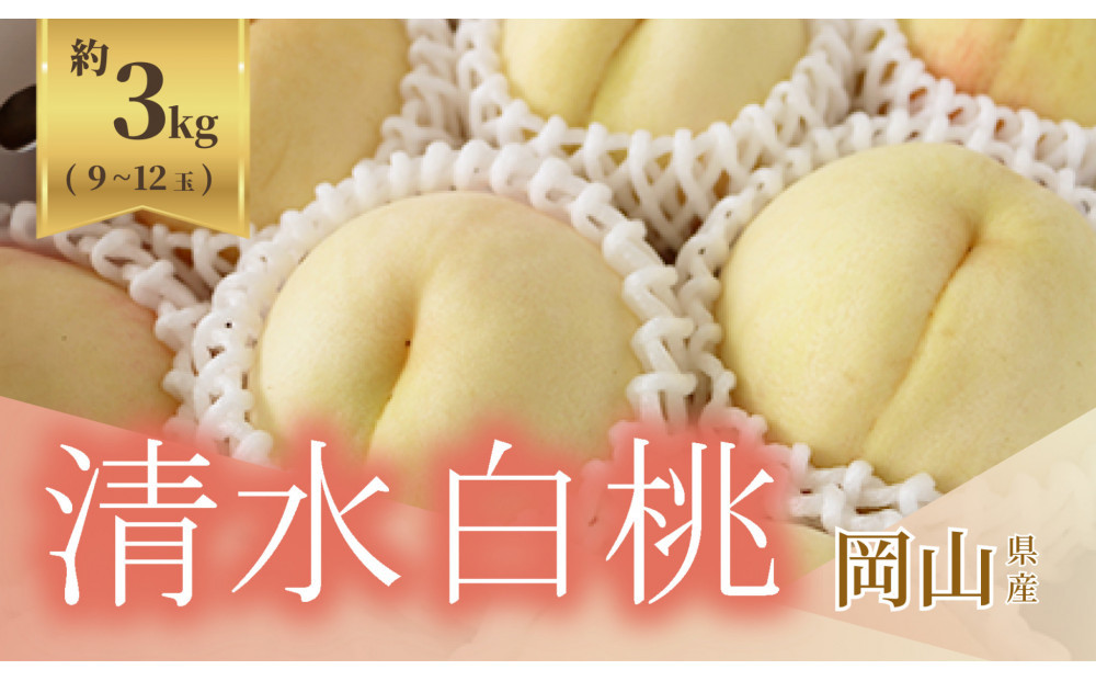 《2026年発送》岡山県産&nbsp;清水白桃&nbsp;約3kg&nbsp;9～12玉