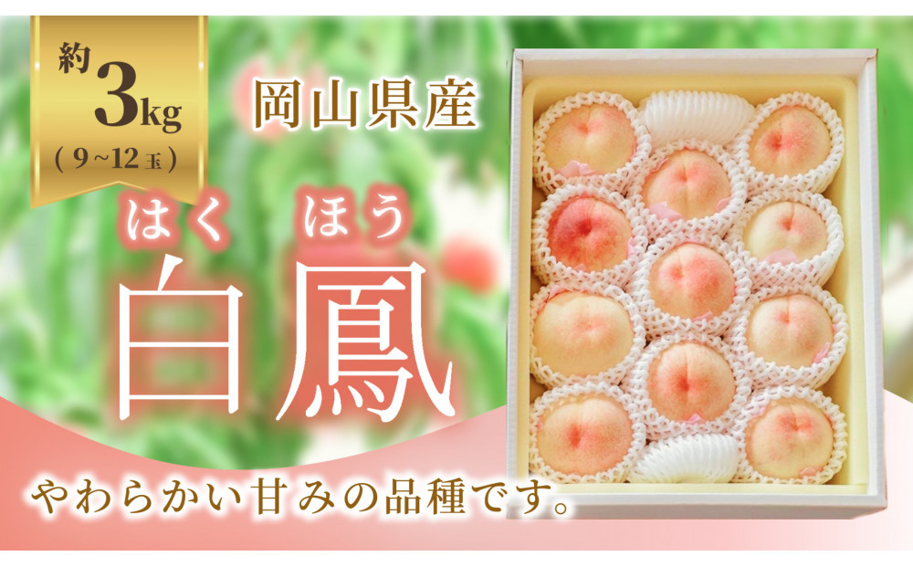 《2026年発送》岡山県産&nbsp;桃&nbsp;白鳳&nbsp;約3kg&nbsp;9～12玉