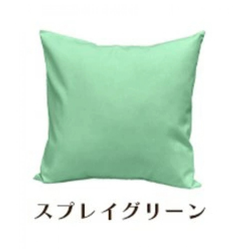 「染」2枚組クッションカバー&nbsp;45×45cmタイプ&nbsp;スプレイグリーン&nbsp;国産オックスフォード生地&nbsp;無地
