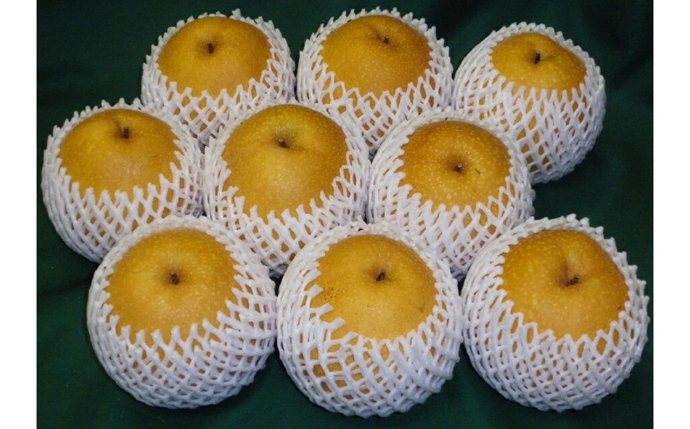 訳あり&nbsp;王秋梨&nbsp;5kg箱&nbsp;(約6～12玉)