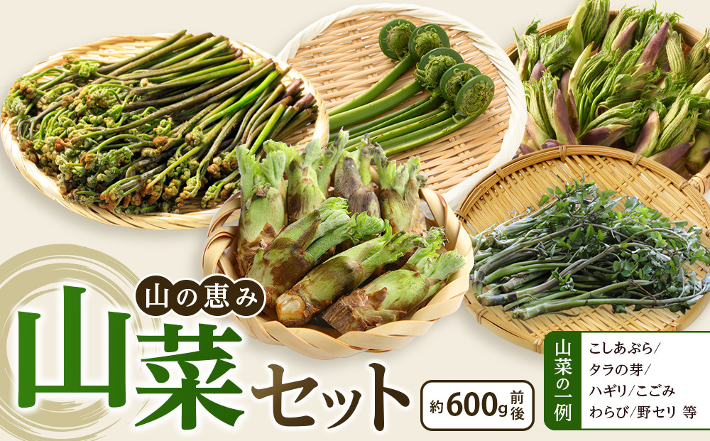先行予約【2027年4月中旬頃～順次発送予定】ちっくほっくふぁ～む　山の恵み　山菜セット