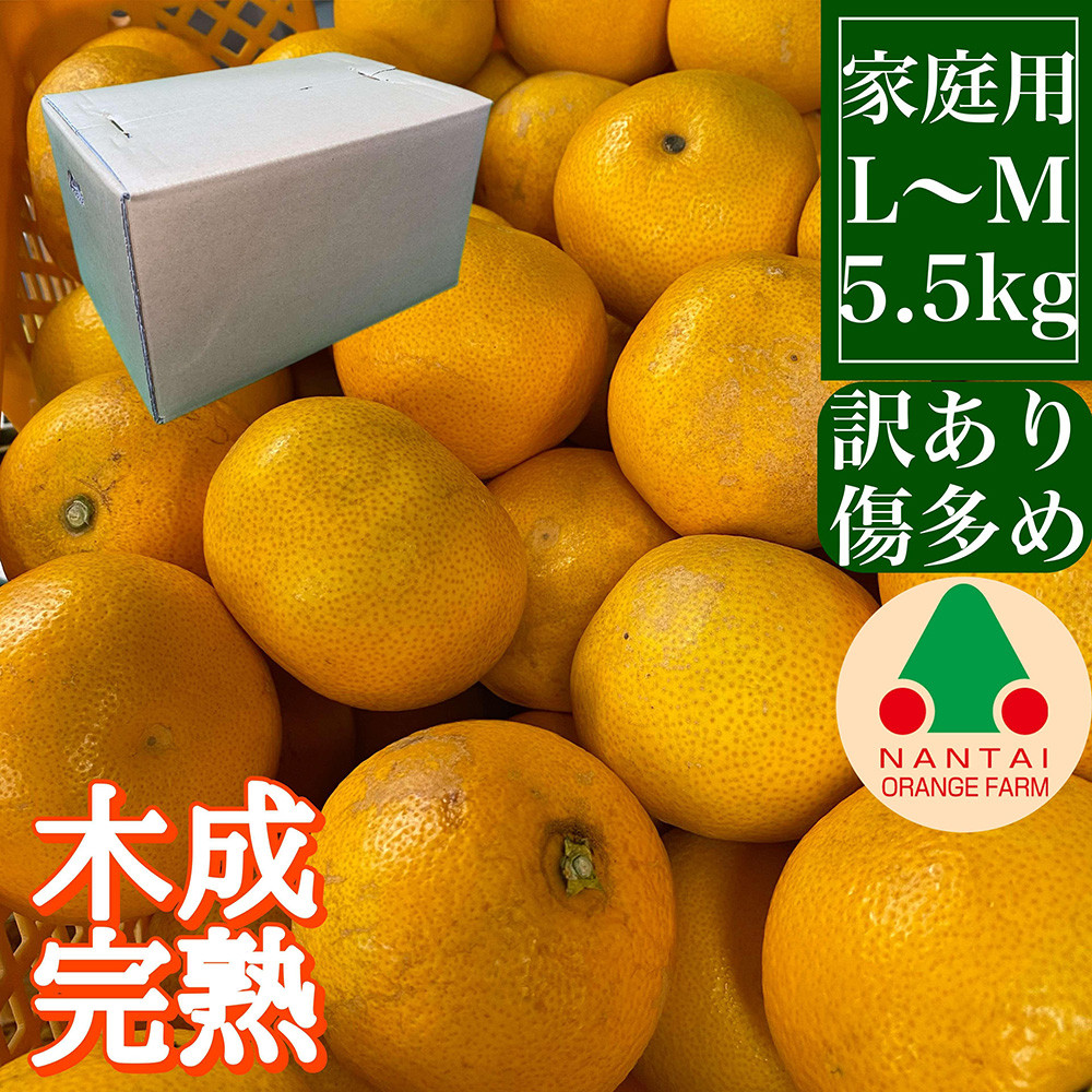 家庭用&nbsp;5.5kg&nbsp;訳あり&nbsp;傷多め&nbsp;4月&nbsp;まで&nbsp;木成&nbsp;完熟&nbsp;させた&nbsp;有田&nbsp;はっさく&nbsp;L&nbsp;または&nbsp;M&nbsp;サイズ&nbsp;茶箱&nbsp;南泰園&nbsp;みかん