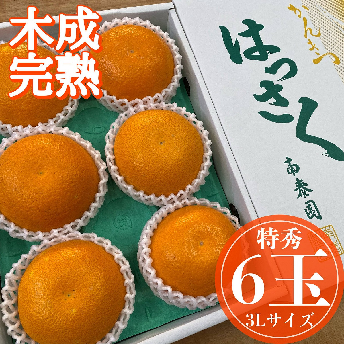 木成完熟&nbsp;紅はっさく&nbsp;特秀&nbsp;大玉&nbsp;3L&nbsp;×&nbsp;6玉入&nbsp;化粧箱&nbsp;南泰園【2026年4月上旬～発送】