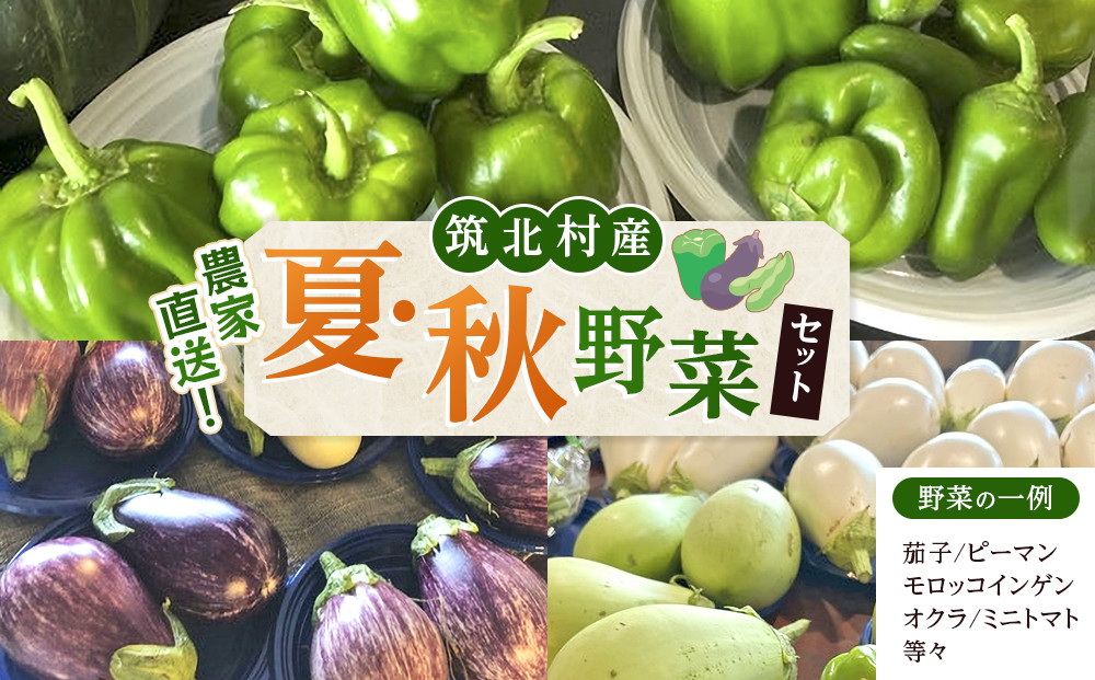 先行予約【2026年9月上旬頃～順次発送予定】ちっくほっくふぁ～む　夏・秋野菜セット