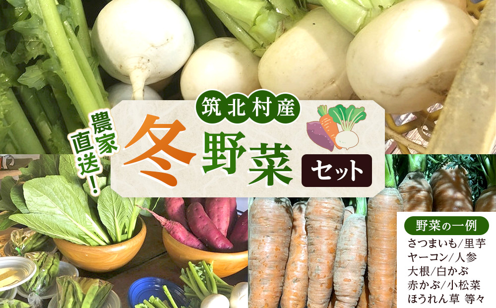 先行予約【2026年11月上旬頃～順次発送予定】ちっくほっくふぁ～む　冬野菜セット