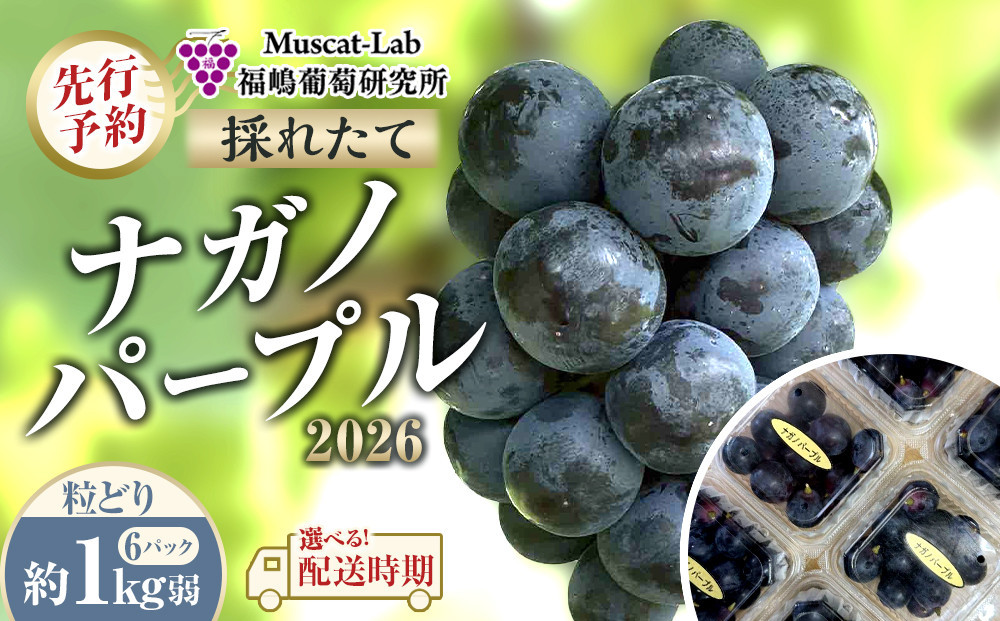 【先行予約】&nbsp;B&nbsp;2026&nbsp;P&nbsp;ナガノパープル粒どり6パック&nbsp;約1kg弱&nbsp;&nbsp;(2026年10月初旬頃～順次発送予定）長野県産&nbsp;　国際特許有機肥料栽培