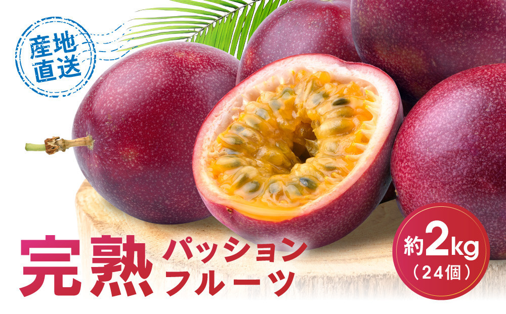 【2026年夏発送】パッションフルーツ&nbsp;(2kg24個入りバラ詰)&nbsp;2026年6月～出荷開始&nbsp;リリコイ&nbsp;南国フルーツ&nbsp;デザート&nbsp;人気&nbsp;鹿児島県&nbsp;&nbsp;与論町