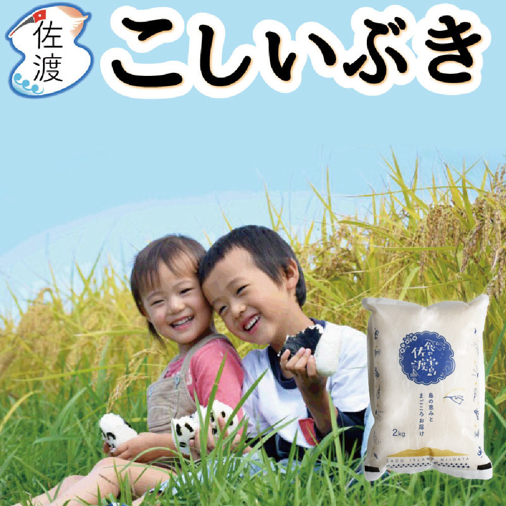 【食の宝島佐渡】佐渡島産こしいぶき&nbsp;白米2Kg（2Kg×1袋）&nbsp;令和7年産