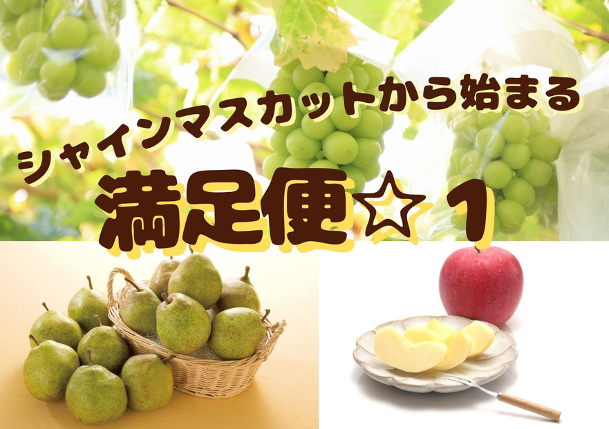 2026年度発送【定期便&nbsp;３回】シャインマスカットから始まる　満足定期便☆１