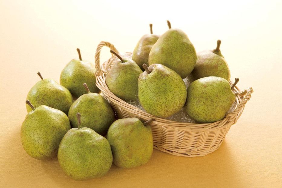 2026年発送「果実の女王」ラ・フランス★　小玉&nbsp;約５kg（24～28玉）