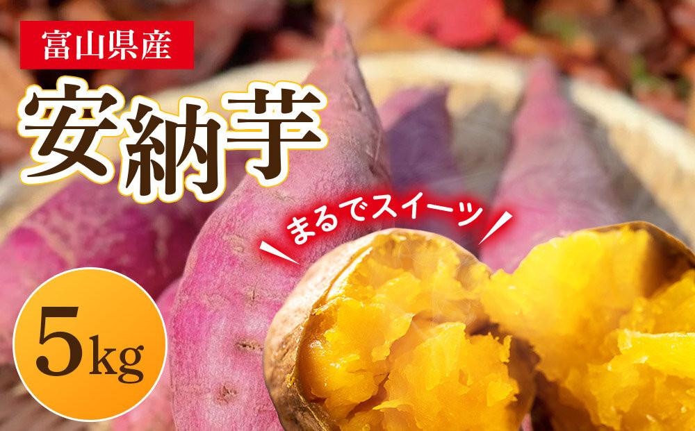 安納芋　5kg　富山県&nbsp;|&nbsp;あんのういも&nbsp;いも&nbsp;イモ&nbsp;芋&nbsp;甘い&nbsp;焼き芋&nbsp;さつまいも&nbsp;サツマイモ&nbsp;秋の味覚&nbsp;地元特産品&nbsp;野菜&nbsp;産地直送&nbsp;人気&nbsp;おすすめ&nbsp;送料無料