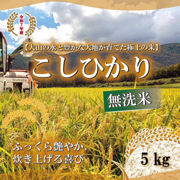 令和7年産　山崎農園こしひかり　無洗米5kg