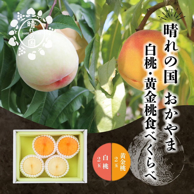 晴れの国　おかやまの白桃＆黄金桃食べ比べ4玉　＜先行受付：2026年8月下旬～発送＞