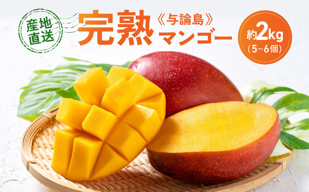 「2026夏発送」★厳選★&nbsp;完熟&nbsp;与論島マンゴー&nbsp;２kg（5～6個）【数量限定】【産地直送】【先行予約】