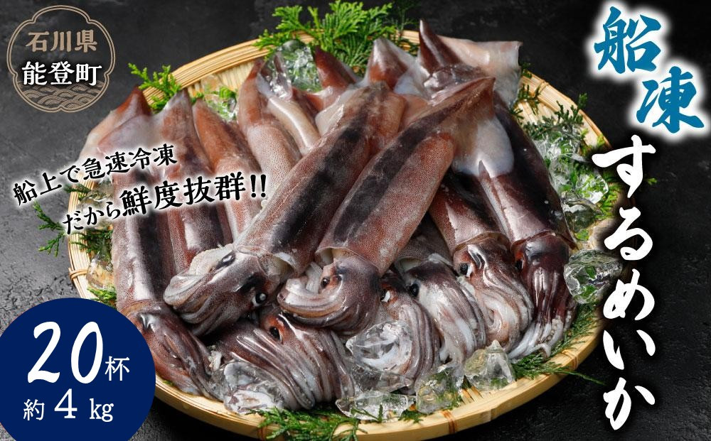 【復興支援】船凍するめいか&nbsp;約4kg&nbsp;20杯&nbsp;(&nbsp;2杯&nbsp;×&nbsp;10袋&nbsp;)小分け&nbsp;個包装&nbsp;刺し身&nbsp;海産物&nbsp;魚介類&nbsp;獲れたて&nbsp;急速冷凍&nbsp;新鮮&nbsp;刺身&nbsp;さしみ&nbsp;烏賊&nbsp;人気&nbsp;おすすめ&nbsp;ご当地グルメ&nbsp;カルパッチョ&nbsp;パスタ&nbsp;いかめし&nbsp;煮物