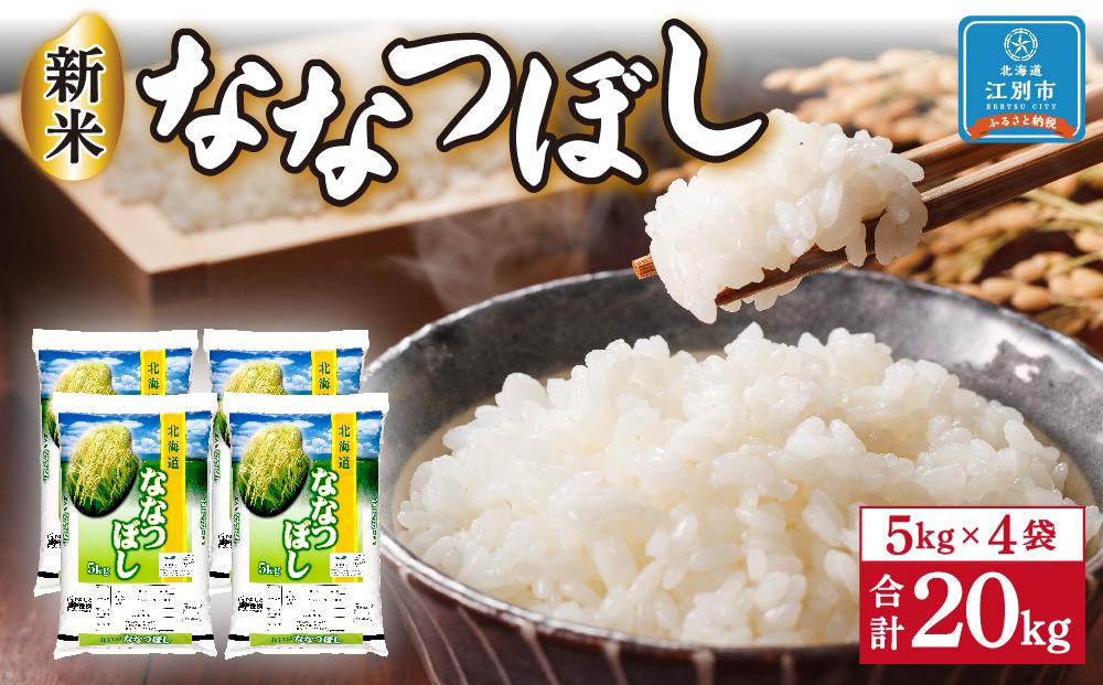 令和3年産 千葉県産 20kg 20kg×1袋 A009 お米 こめ ふさこがね ふるさと納税 大網白里市 玄米 玄米20kg 米 送料無料  【90%OFF!】 ふさこがね