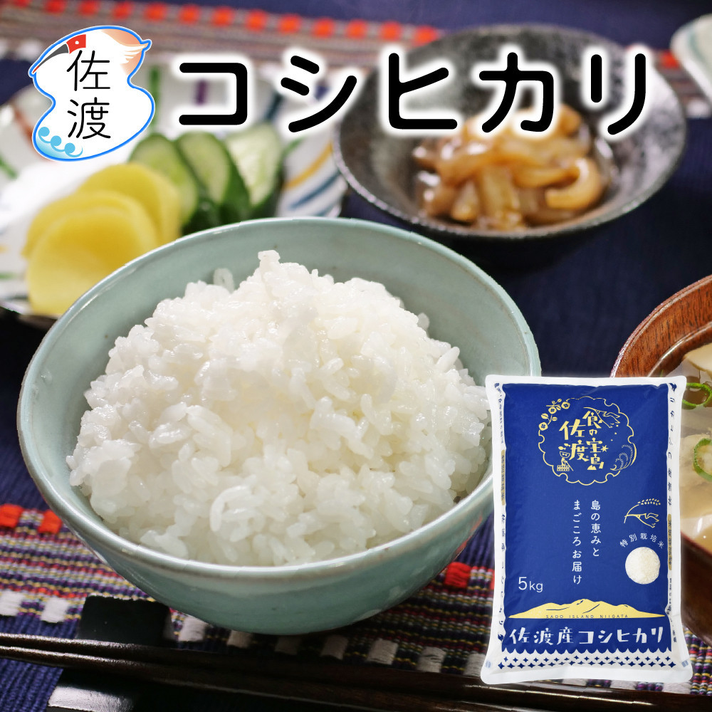 佐渡島産コシヒカリ&nbsp;白米25kg（5kg×5袋）&nbsp;農薬・化学肥料5割減【食の宝島佐渡】