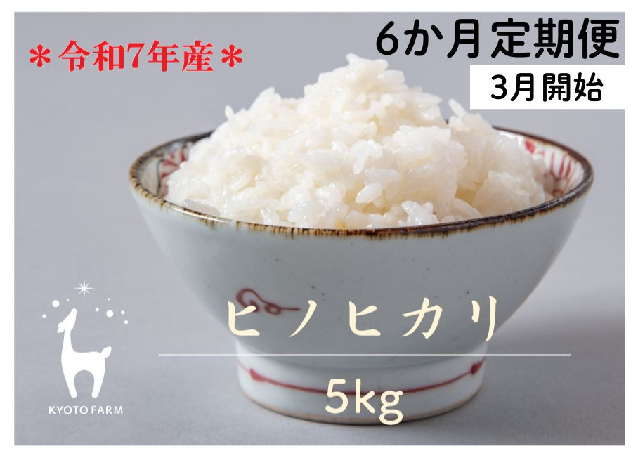 〈6か月定期便〉令和7年産&nbsp;京都ファームのヒノヒカリ&nbsp;精米&nbsp;毎月5kg×6回(3月～8月)　［&nbsp;京都&nbsp;京北産&nbsp;ひのひかり&nbsp;新米&nbsp;精米&nbsp;おいしい&nbsp;人気&nbsp;おすすめ&nbsp;米&nbsp;コメ&nbsp;お取り寄せ&nbsp;通販&nbsp;送料無料&nbsp;ふるさと納税&nbsp;］
