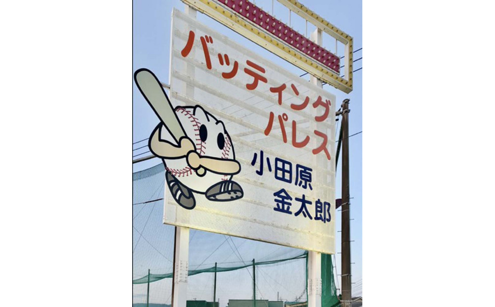 バッティングパレス&nbsp;3000円分チケット