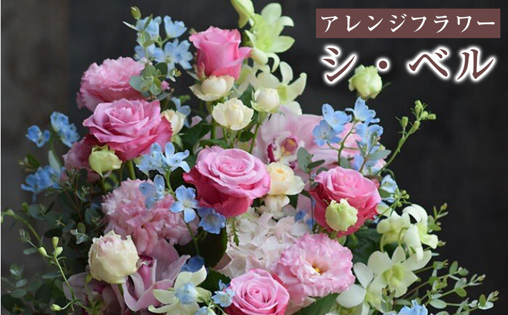 「シ・ベル」&nbsp;誕生日祝い&nbsp;結婚&nbsp;ウエディング&nbsp;送別&nbsp;プレゼント&nbsp;開店祝い&nbsp;花&nbsp;結婚祝い&nbsp;季節&nbsp;アレンジ&nbsp;フラワー&nbsp;退職&nbsp;発表会ギフト&nbsp;結婚記念日&nbsp;送料無料&nbsp;記念日&nbsp;お祝い