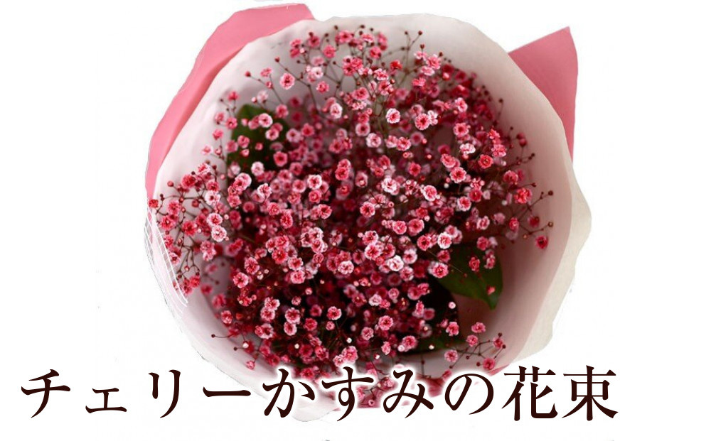 チェリーかすみの花束&nbsp;かすみ草&nbsp;カスミソウ&nbsp;花束&nbsp;花&nbsp;誕生日&nbsp;成人式&nbsp;卒業祝い&nbsp;初節句&nbsp;ひな祭り&nbsp;バレンタイン&nbsp;お返し&nbsp;結婚&nbsp;ウエディング&nbsp;送別&nbsp;祝い&nbsp;プレゼント&nbsp;結婚祝い&nbsp;お礼&nbsp;花束&nbsp;赤いかすみ草&nbsp;チェリー&nbsp;レッド&nbsp;生花ドライフラワーにも&nbsp;送料無料&nbsp;お母さん&nbsp;記念日