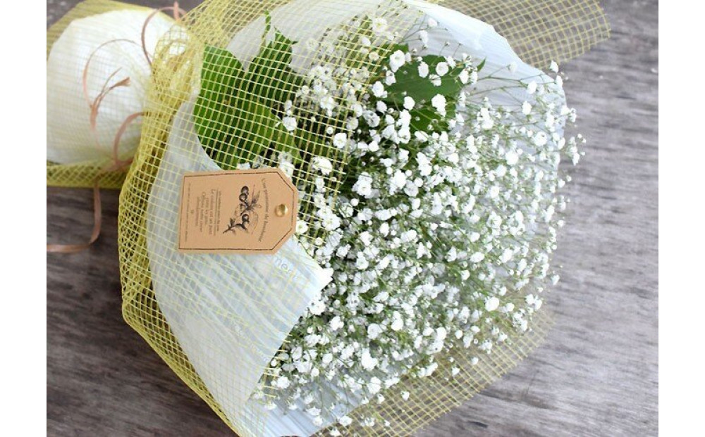 かすみそうの花束&nbsp;かすみ草&nbsp;カスミソウ&nbsp;花束(小さいサイズ)&nbsp;花&nbsp;誕生日&nbsp;成人式&nbsp;卒業祝い&nbsp;初節句&nbsp;ひな祭り&nbsp;バレンタイン&nbsp;お返し&nbsp;結婚&nbsp;ウエディング&nbsp;送別&nbsp;祝い&nbsp;プレゼント&nbsp;ギフト&nbsp;結婚祝い&nbsp;お礼&nbsp;花束&nbsp;生花&nbsp;ドライフラワーにも&nbsp;送料無料&nbsp;退職祝い&nbsp;お母さん&nbsp;記念日