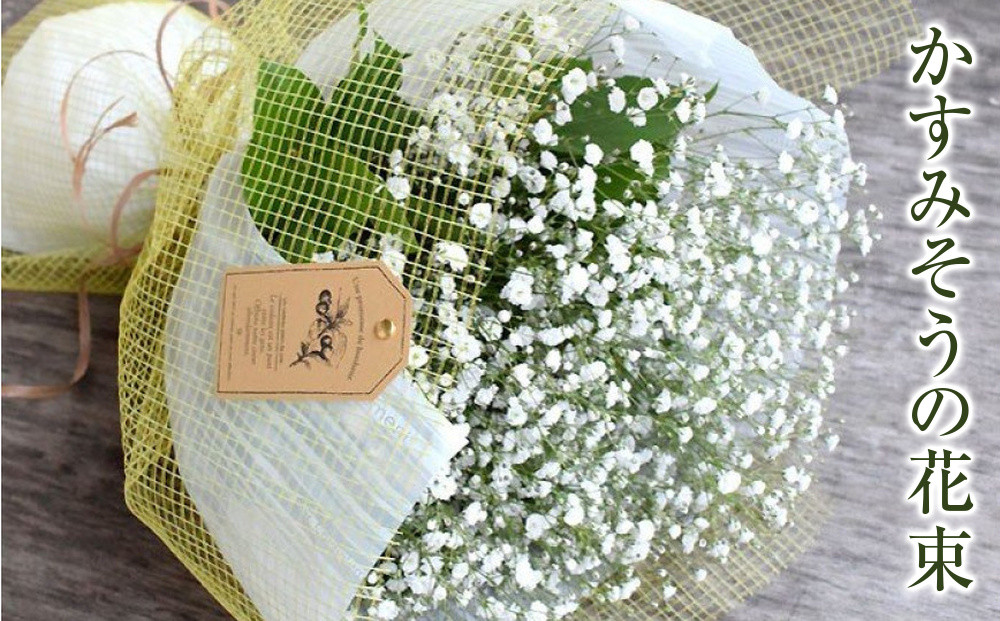 かすみそうの花束&nbsp;かすみ草&nbsp;カスミソウ&nbsp;花束(小さいサイズ)&nbsp;花&nbsp;誕生日&nbsp;成人式&nbsp;卒業祝い&nbsp;初節句&nbsp;ひな祭り&nbsp;バレンタイン&nbsp;お返し&nbsp;結婚&nbsp;ウエディング&nbsp;送別&nbsp;祝い&nbsp;プレゼント&nbsp;ギフト&nbsp;結婚祝い&nbsp;お礼&nbsp;花束&nbsp;生花&nbsp;ドライフラワーにも&nbsp;送料無料&nbsp;退職祝い&nbsp;お母さん&nbsp;記念日