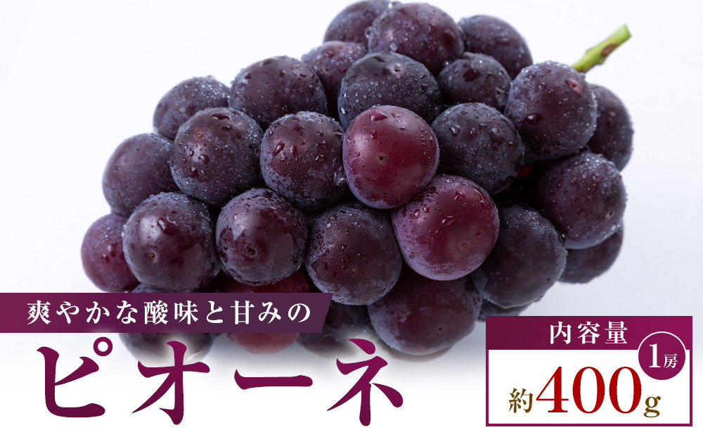 【お試し用】ピオーネ　約400g