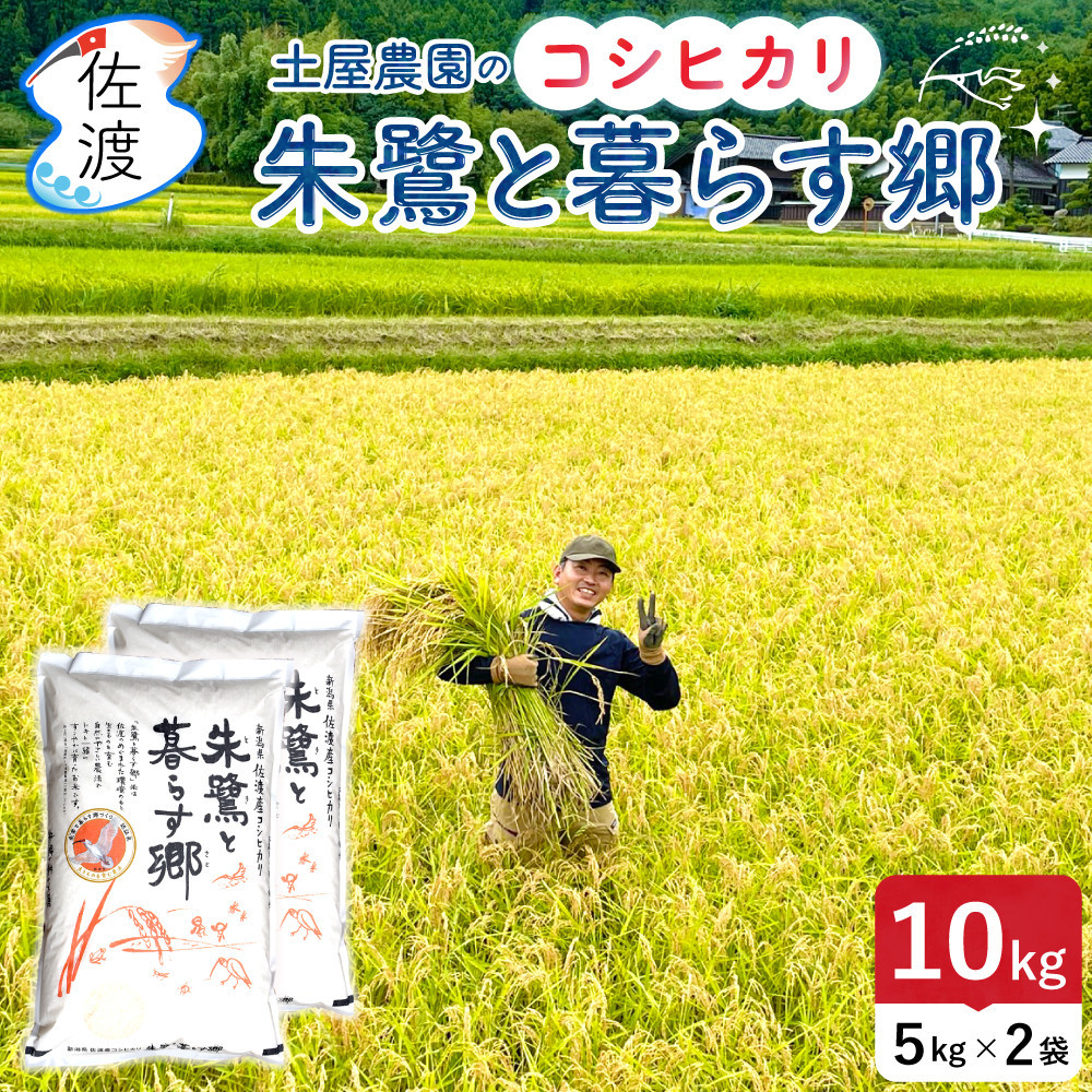 佐渡島産コシヒカリ「朱鷺と暮らす郷」白米10kg(5kg×2袋)&nbsp;土屋農園&nbsp;令和7年産&nbsp;特別栽培米