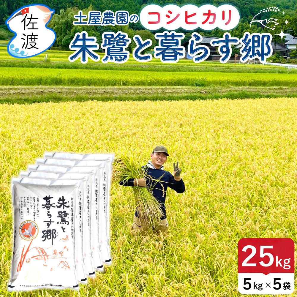 佐渡島産コシヒカリ「朱鷺と暮らす郷」白米25kg(5kg×5袋)&nbsp;土屋農園&nbsp;令和7年産&nbsp;特別栽培米