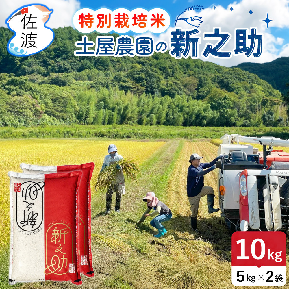 佐渡島産新之助&nbsp;無洗米10Kg（5Kg×2袋）&nbsp;土屋農園&nbsp;特別栽培米&nbsp;令和7年産【食の宝島佐渡】