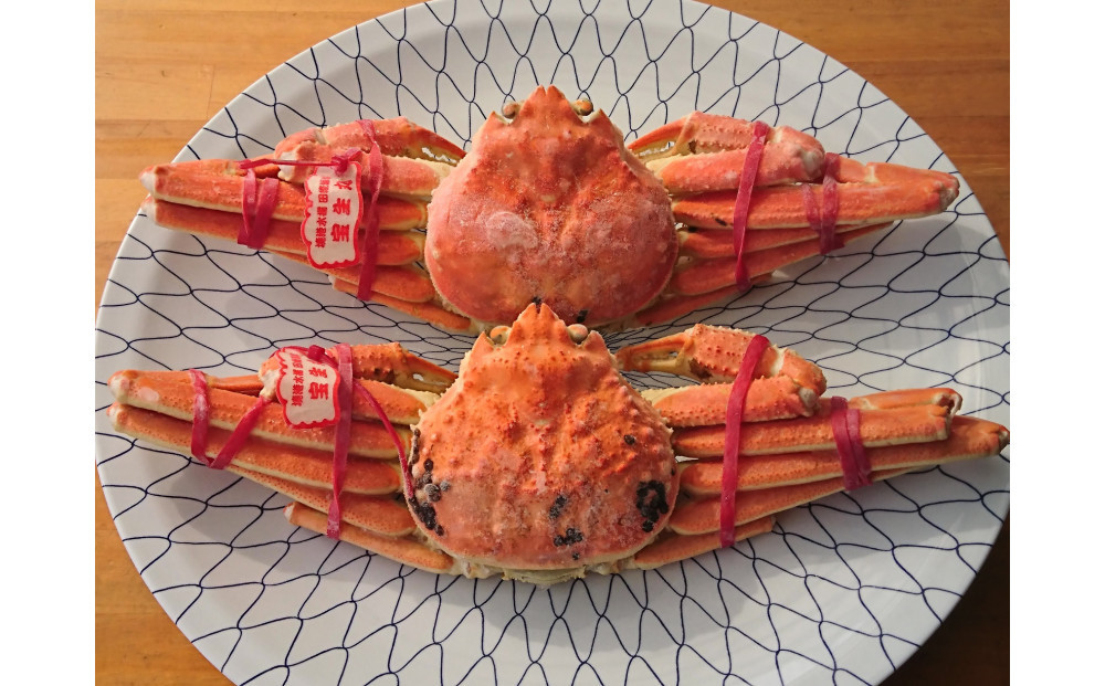 カニ&nbsp;松葉ガニ&nbsp;ボイル&nbsp;冷凍&nbsp;カニ酢付き&nbsp;&nbsp;2枚(約500g×2)