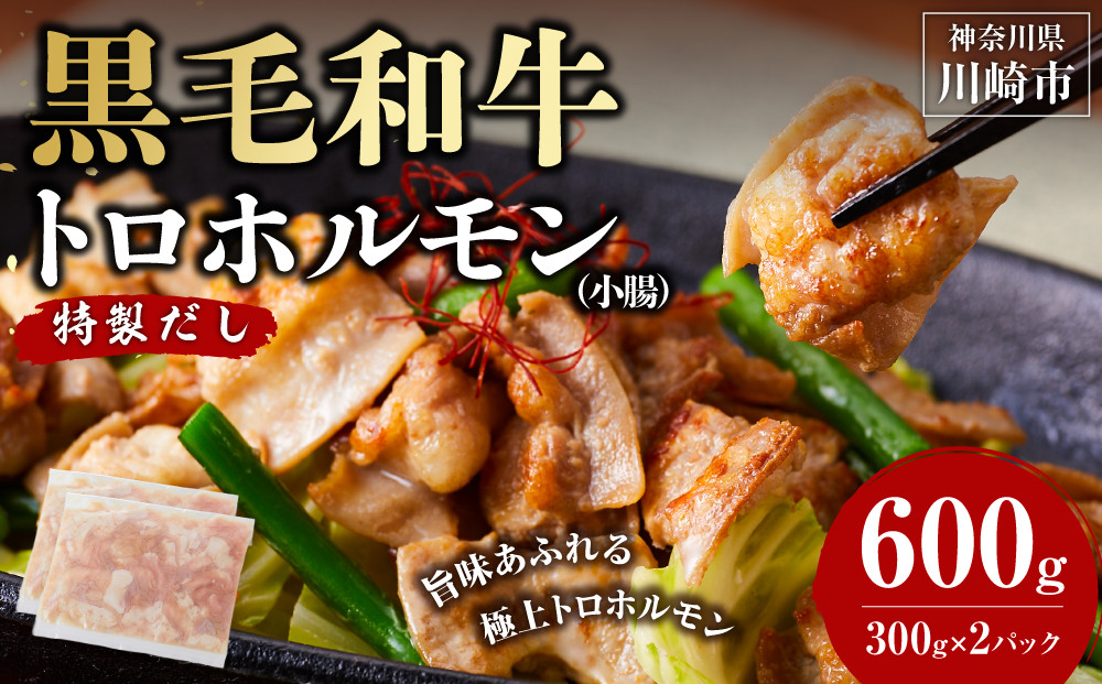 黒毛和牛トロホルモン（小腸）　特製だし0.6kg&nbsp;(&nbsp;300g&nbsp;×2パック&nbsp;)【2026年3月発送】