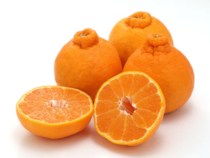 贈答用&nbsp;森本農園の手選別&nbsp;不知火&nbsp;約8kg&nbsp;和歌山県産&nbsp;&nbsp;2L～3Lサイズ［北海道・沖縄・離島配送不可］［RN134］