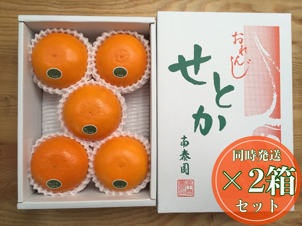 ［2箱セット］ハーフ&nbsp;化粧箱&nbsp;柑橘の大トロ&nbsp;ハウス&nbsp;せとか&nbsp;厳選&nbsp;5玉入&nbsp;×&nbsp;2箱&nbsp;南泰園