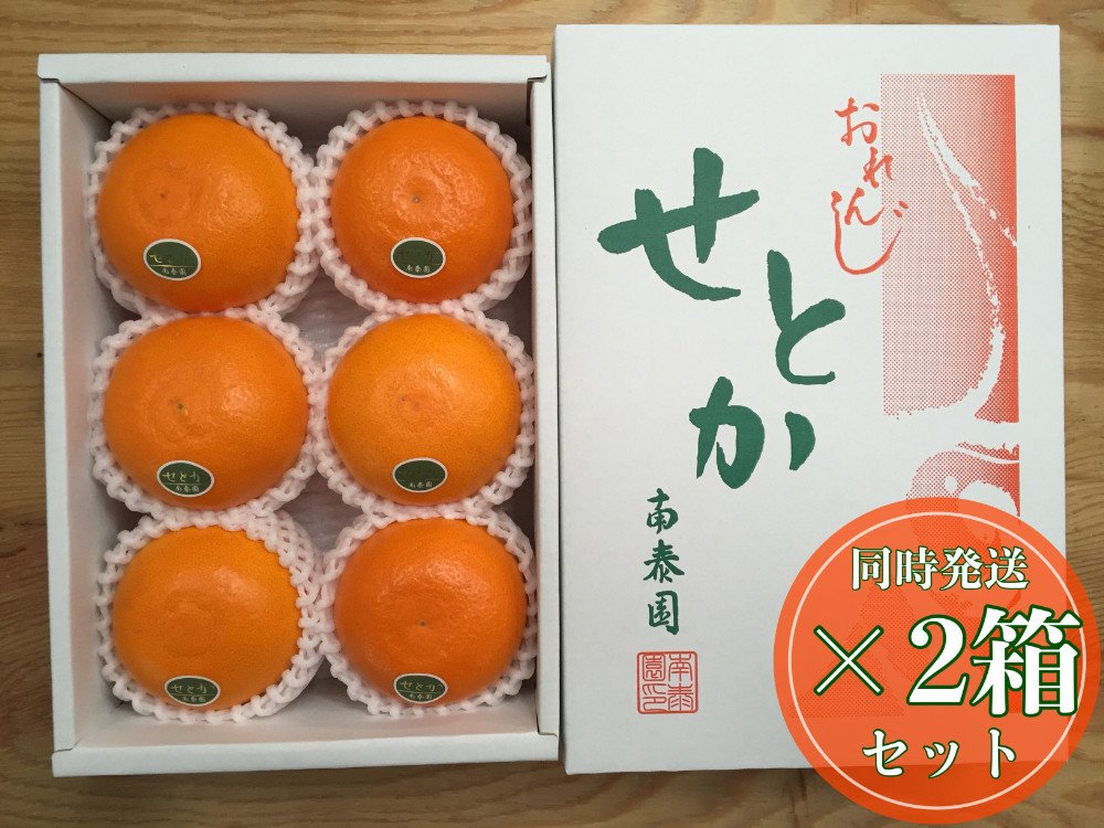 ［2箱セット］ハーフ&nbsp;化粧箱&nbsp;柑橘の大トロ&nbsp;ハウス&nbsp;せとか&nbsp;厳選&nbsp;6玉入&nbsp;×&nbsp;2箱&nbsp;南泰園