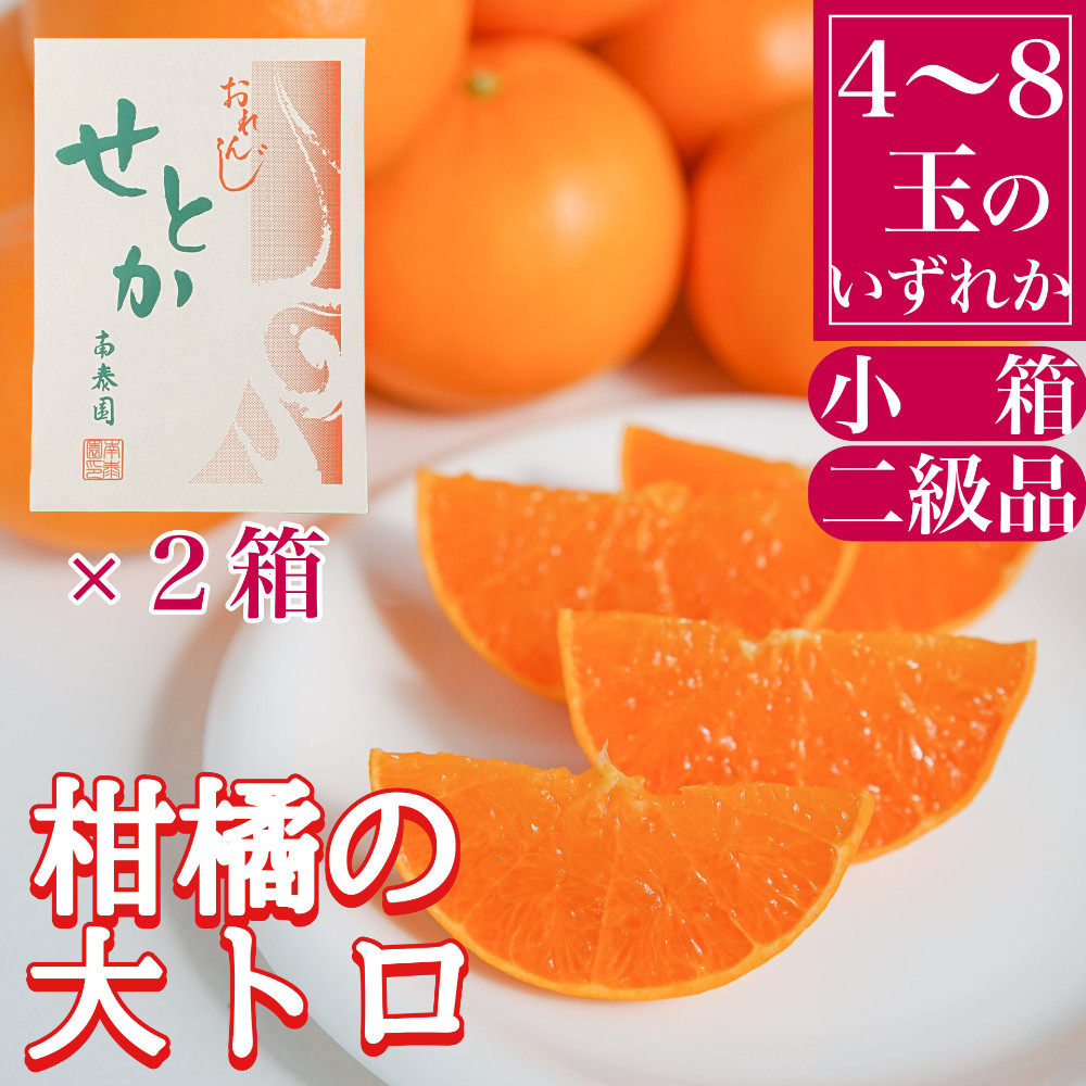 ［2箱セット］ちょっと&nbsp;傷あり&nbsp;ハーフ&nbsp;化粧箱&nbsp;柑橘の大トロ&nbsp;ハウス&nbsp;せとか&nbsp;4&nbsp;～&nbsp;8玉入&nbsp;×&nbsp;2箱&nbsp;南泰園