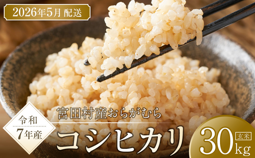 【予約受付】【令和７年米】長野県宮田村産コシヒカリ／玄米／30kg・57,000円／令和８年5月配送
