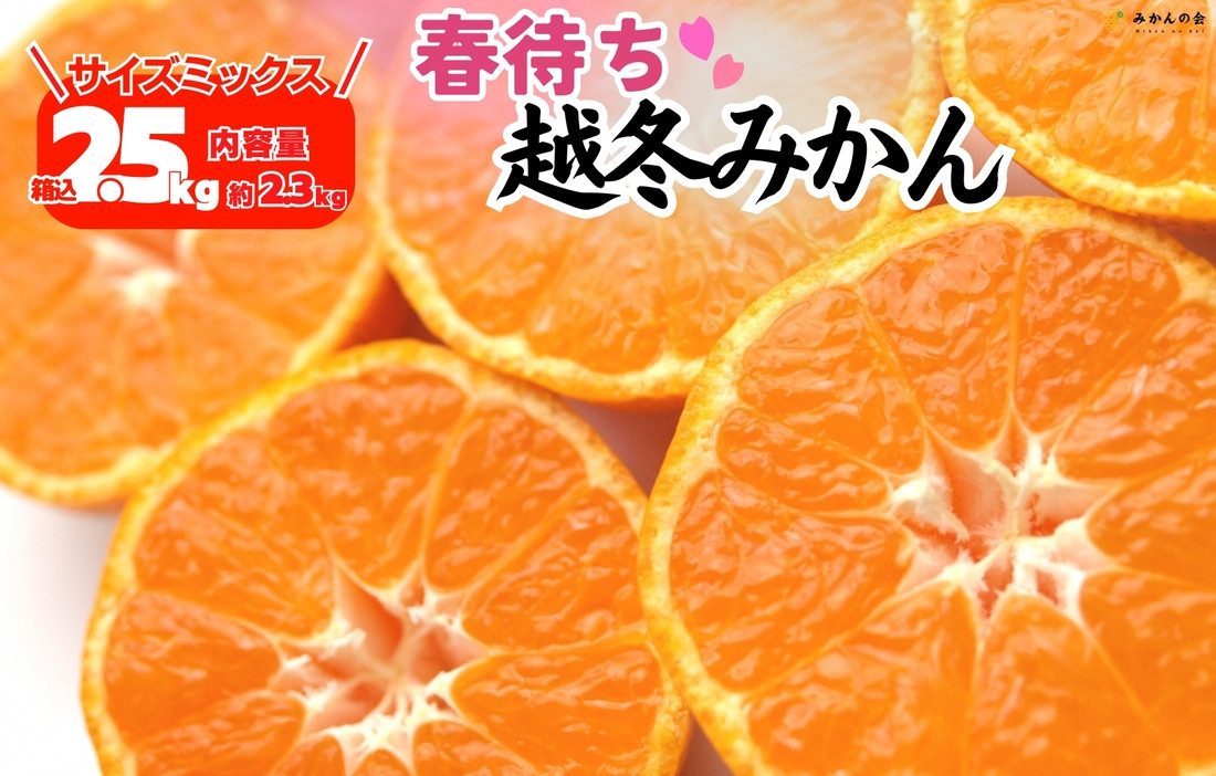 みかん&nbsp;春待ち&nbsp;越冬みかん&nbsp;箱込2.5kg(内容量2.3kg)&nbsp;等級／サイズミックス&nbsp;和歌山県産&nbsp;産地直送