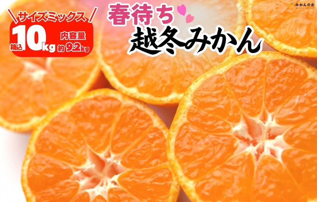 みかん&nbsp;春待ち&nbsp;越冬みかん&nbsp;箱込10kg(内容量9.2kg)&nbsp;等級／サイズミックス&nbsp;和歌山県産&nbsp;産地直送