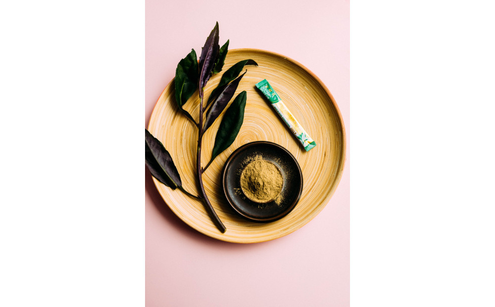 金沢ブランド野菜&nbsp;カラダにうれしい加賀野菜&nbsp;「金時草」&nbsp;1箱（30本）&nbsp;飲む野菜&nbsp;金時草&nbsp;加賀野菜&nbsp;粉末&nbsp;サポート食品&nbsp;料理&nbsp;スムージー&nbsp;石川&nbsp;金沢&nbsp;北陸&nbsp;復興支援&nbsp;復興応援