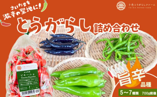 【十色とうがらしファーム】とうがらし＜旨辛＞品種詰合せ