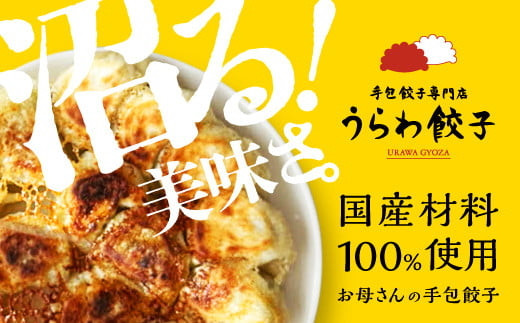 うらわ餃子　レギュラー10個・しそ10個セット　