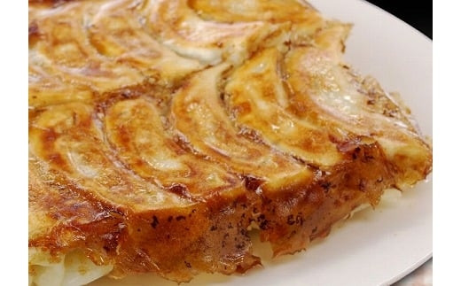 ふつうの餃子（28g×30粒）×2セット　