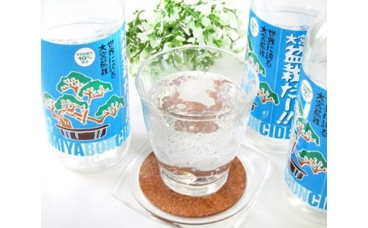 大宮盆栽だー！！335mlビン24本セット　