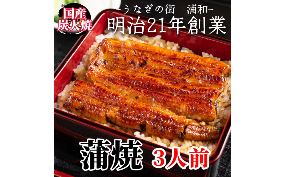 【満寿家】国産うなぎ蒲焼　3人前【11100-0142】
